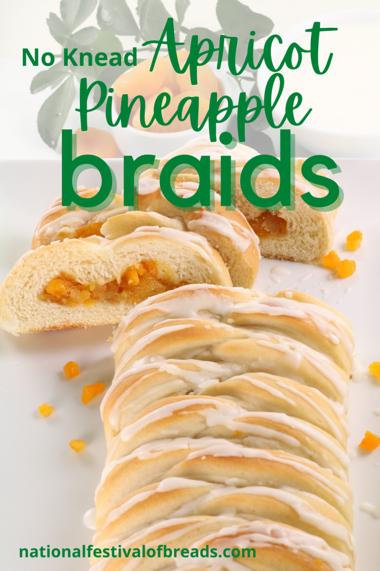 No Knead Apricot Pineapple Braids