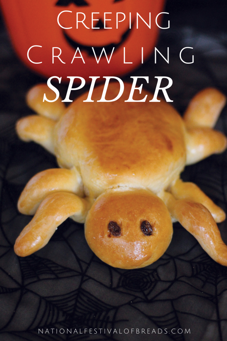 This Creepy Crawling spider is sure to give any party goer the heebie jeebies!